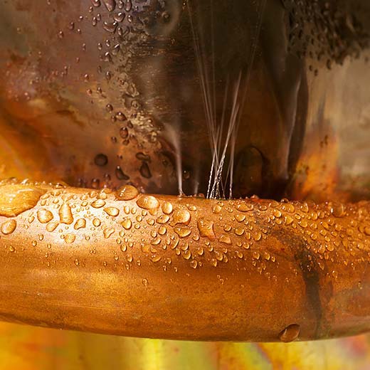 Same Day Webster Plumbing Service, drains, septic, trenchless.